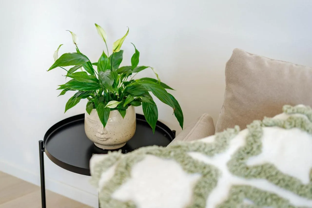 Apartment Klara Krk Town Croatia